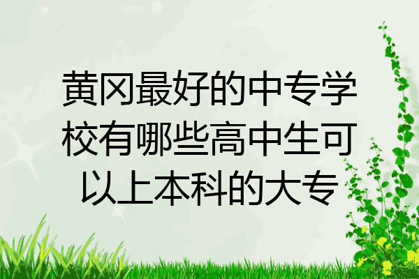 黄冈最好的中专学校有哪些高中生可以上本科的大专