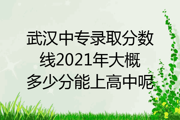 武汉中专录取分数线2021年大概多少分能上高中呢
