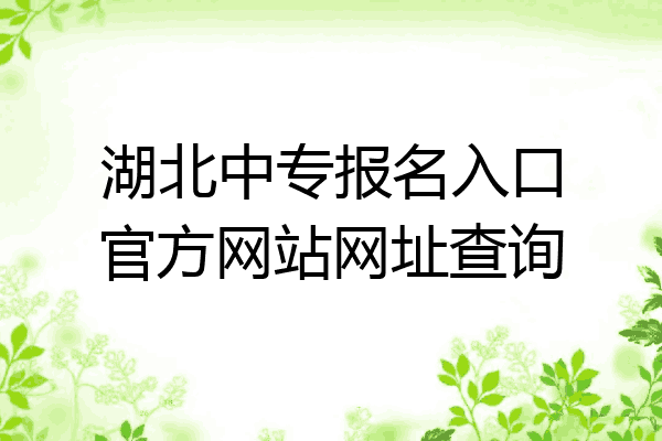 湖北中专报名入口官方网站网址查询