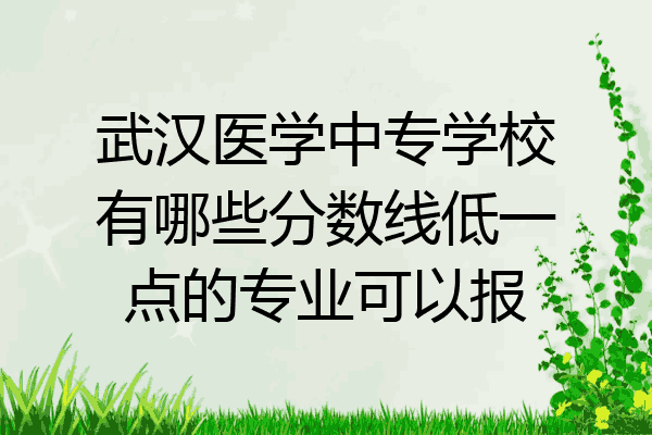 武汉医学中专学校有哪些分数线低一点的专业可以报