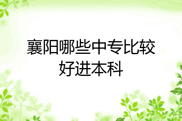 襄阳哪些中专比较好进本科