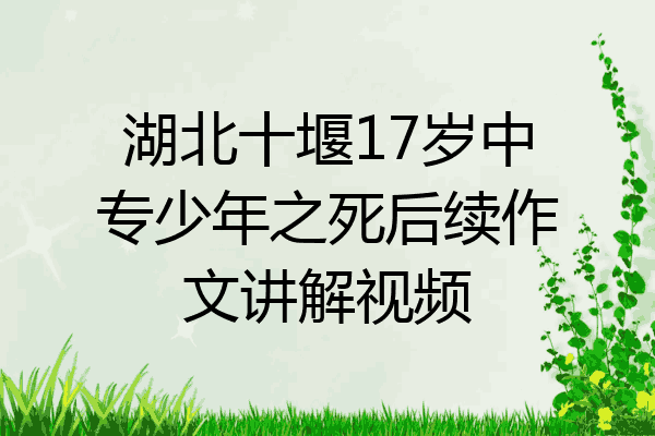 湖北十堰17岁中专少年之死后续作文讲解视频