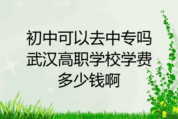 初中可以去中专吗武汉高职学校学费多少钱啊
