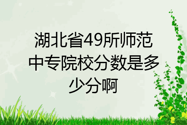 湖北省49所师范中专院校分数是多少分啊
