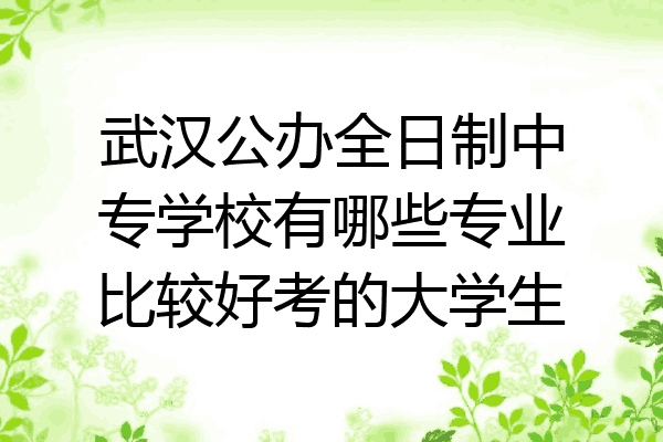武汉公办全日制中专学校有哪些专业比较好考的大学生