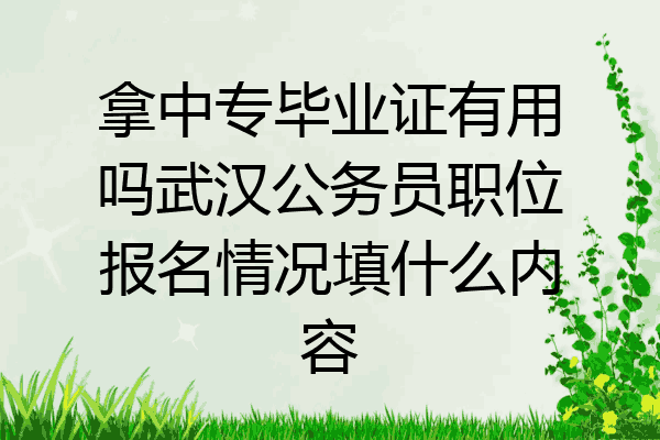 拿中专毕业证有用吗武汉公务员职位报名情况填什么内容