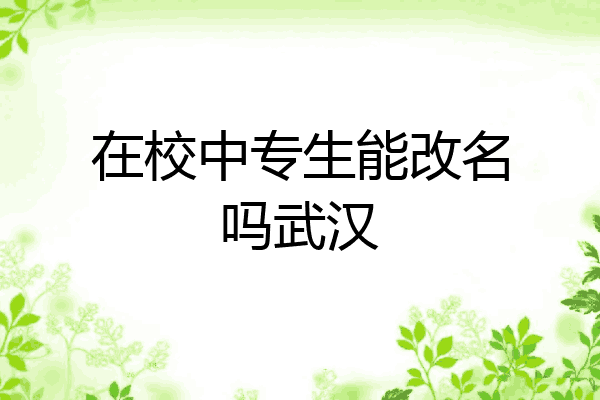 在校中专生能改名吗武汉