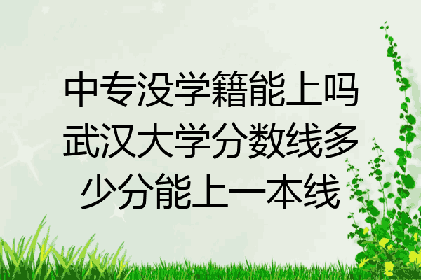 中专没学籍能上吗武汉大学分数线多少分能上一本线
