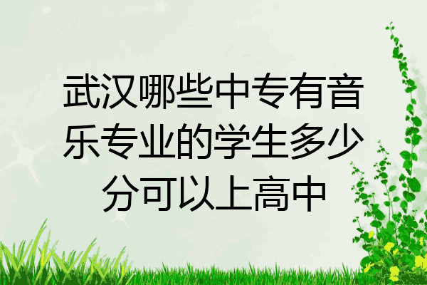 武汉哪些中专有音乐专业的学生多少分可以上高中