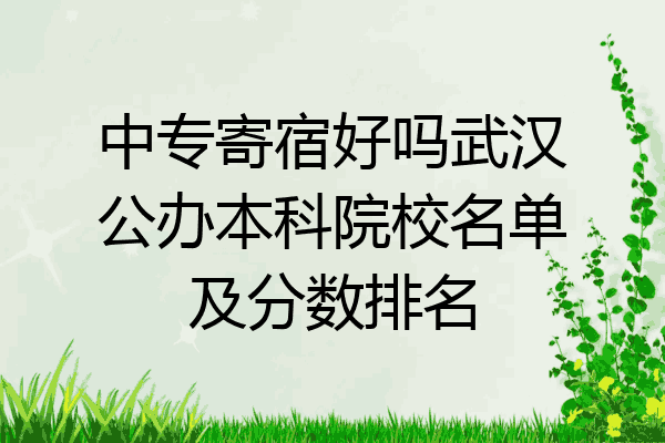 中专寄宿好吗武汉公办本科院校名单及分数排名