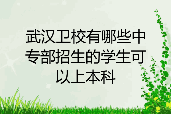 武汉卫校有哪些中专部招生的学生可以上本科