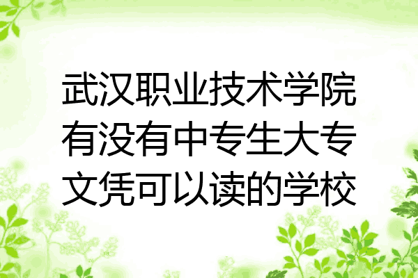 武汉职业技术学院有没有中专生大专文凭可以读的学校