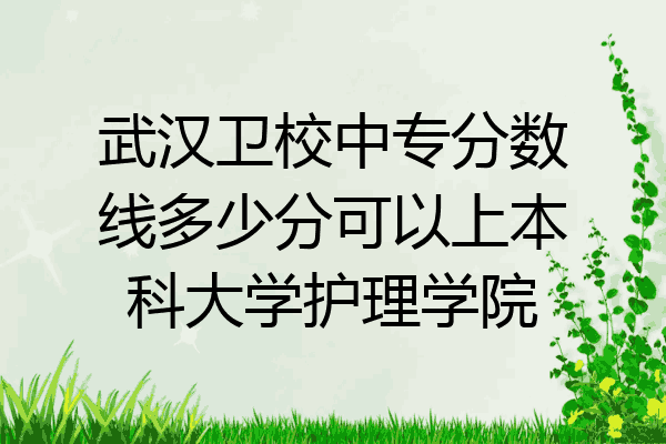 武汉卫校中专分数线多少分可以上本科大学护理学院