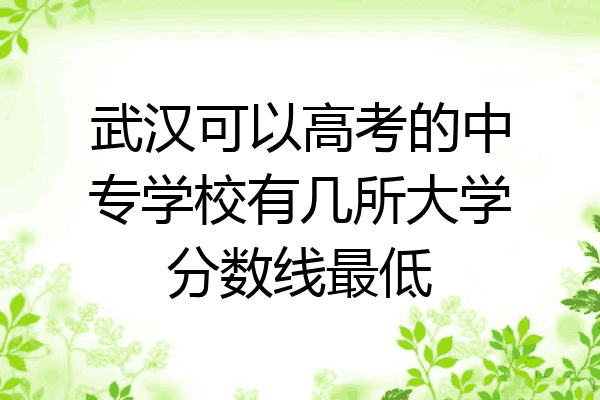 武汉可以高考的中专学校有几所大学分数线最低