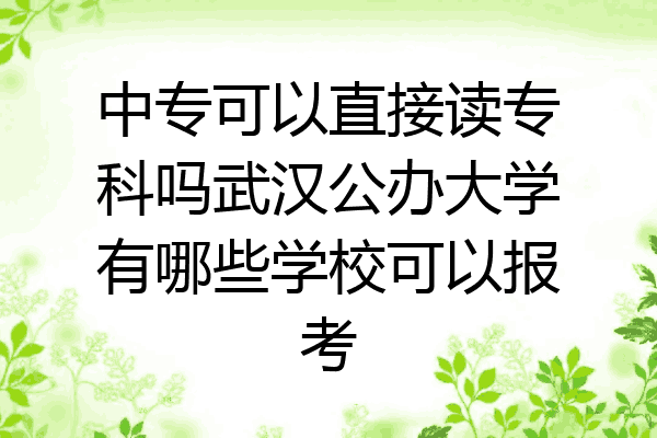 中专可以直接读专科吗武汉公办大学有哪些学校可以报考