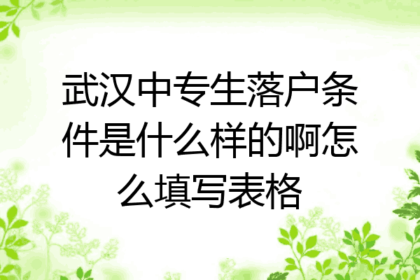 武汉中专生落户条件是什么样的啊怎么填写表格