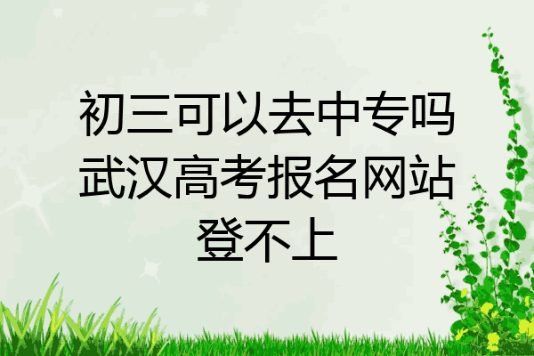 初三可以去中专吗武汉高考报名网站登不上