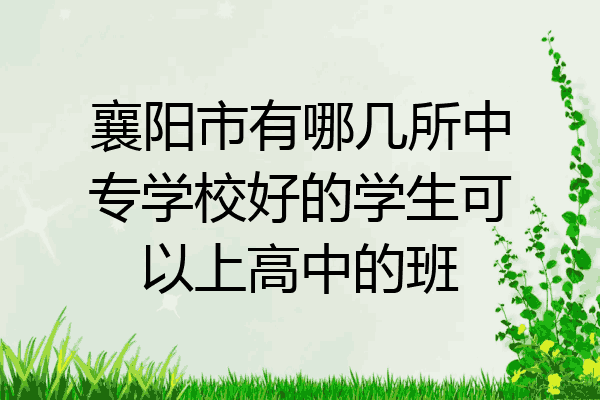 襄阳市有哪几所中专学校好的学生可以上高中的班