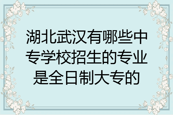湖北武汉有哪些中专学校招生的专业是全日制大专的