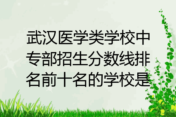 武汉医学类学校中专部招生分数线排名前十名的学校是