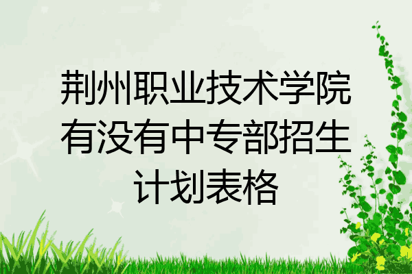 荆州职业技术学院有没有中专部招生计划表格
