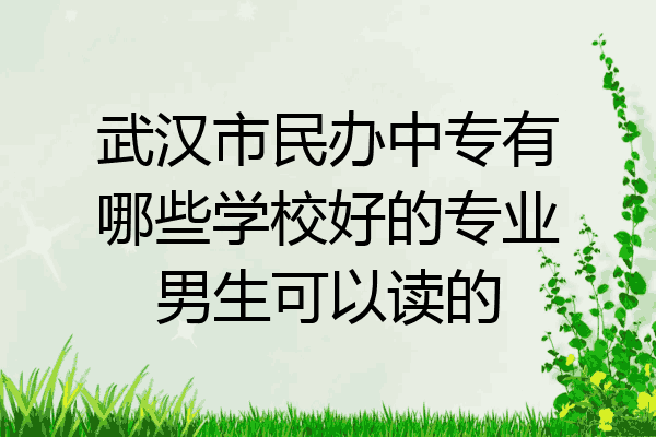 武汉市民办中专有哪些学校好的专业男生可以读的