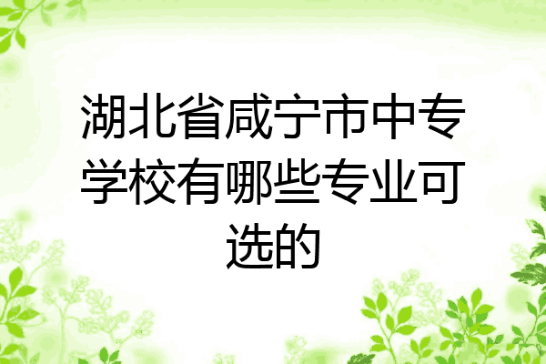 湖北省咸宁市中专学校有哪些专业可选的