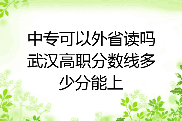 中专可以外省读吗武汉高职分数线多少分能上