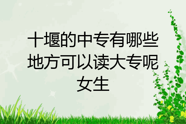 十堰的中专有哪些地方可以读大专呢女生