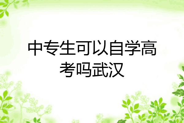 中专生可以自学高考吗武汉