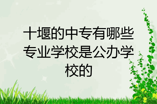 十堰的中专有哪些专业学校是公办学校的