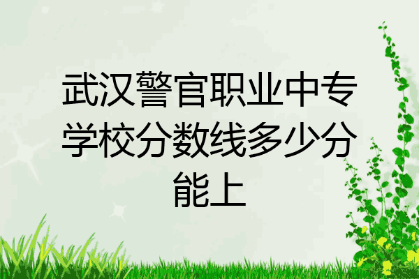 武汉警官职业中专学校分数线多少分能上