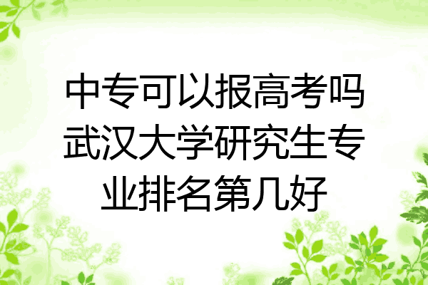 中专可以报高考吗武汉大学研究生专业排名第几好