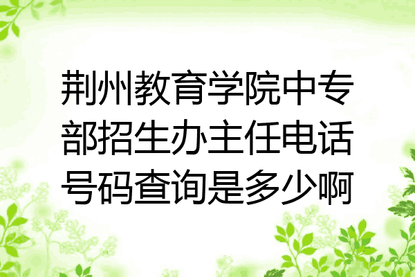 荆州教育学院中专部招生办主任电话号码查询是多少啊