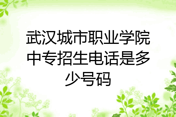 武汉城市职业学院中专招生电话是多少号码