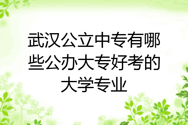 武汉公立中专有哪些公办大专好考的大学专业