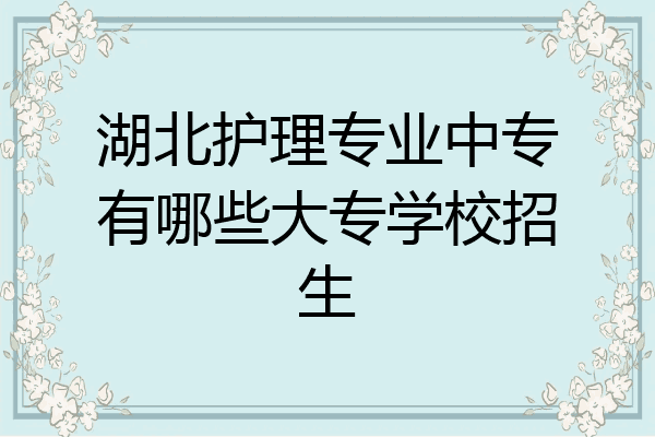 湖北护理专业中专有哪些大专学校招生