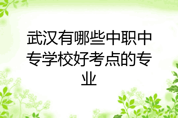武汉有哪些中职中专学校好考点的专业