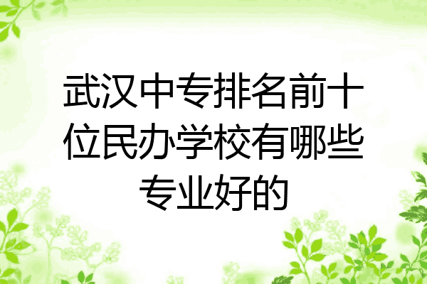 武汉中专排名前十位民办学校有哪些专业好的