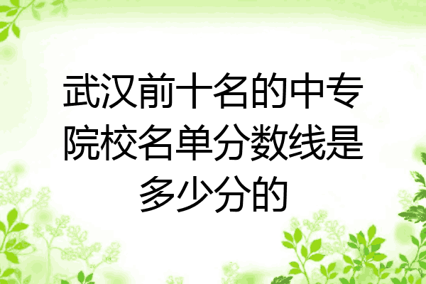 武汉前十名的中专院校名单分数线是多少分的