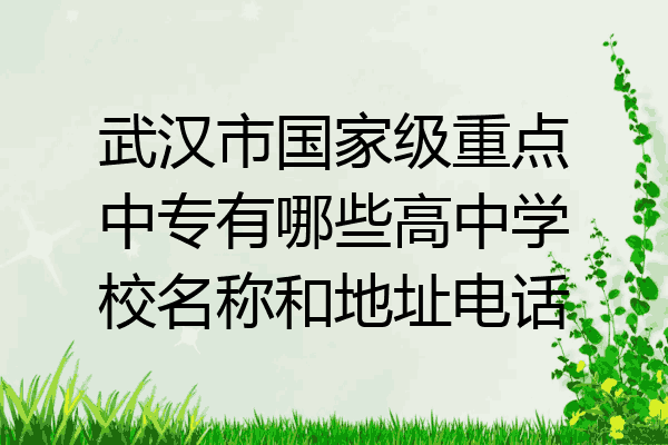 武汉市国家级重点中专有哪些高中学校名称和地址电话