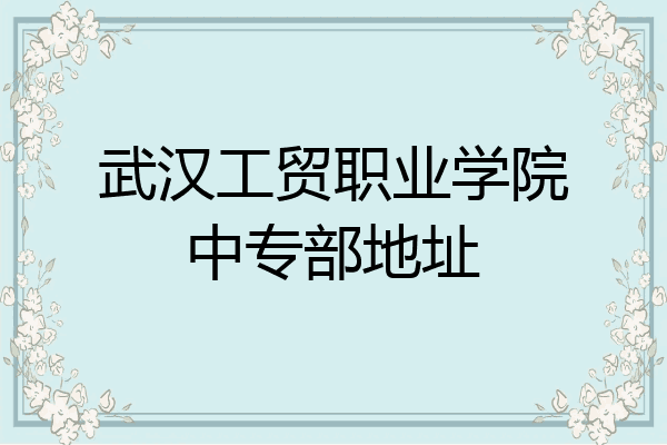 武汉工贸职业学院中专部地址