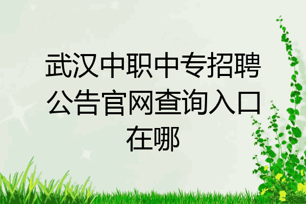 武汉中职中专招聘公告官网查询入口在哪