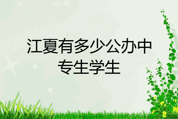 江夏有多少公办中专生学生