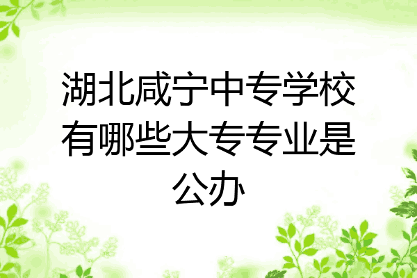 湖北咸宁中专学校有哪些大专专业是公办