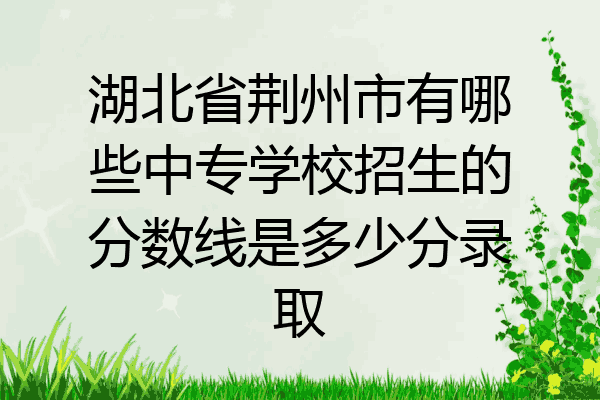 湖北省荆州市有哪些中专学校招生的分数线是多少分录取