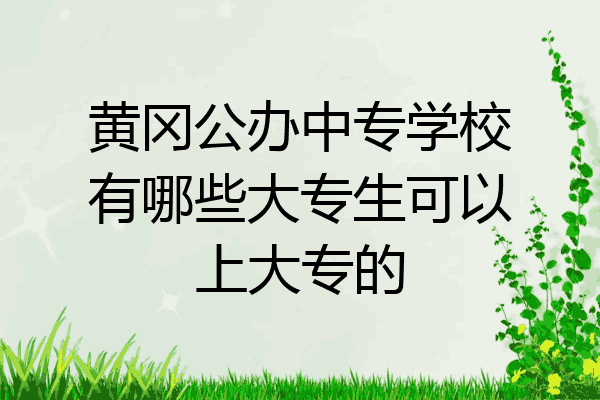 黄冈公办中专学校有哪些大专生可以上大专的