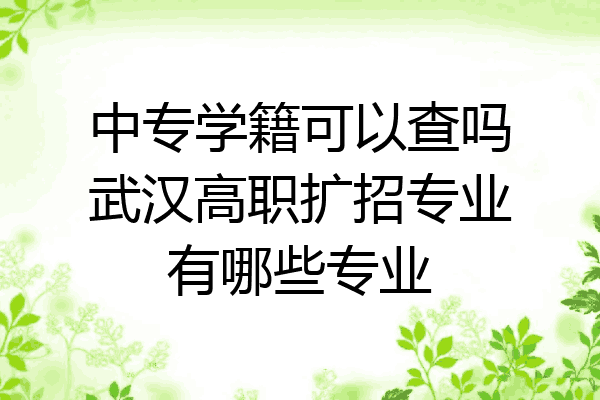 中专学籍可以查吗武汉高职扩招专业有哪些专业