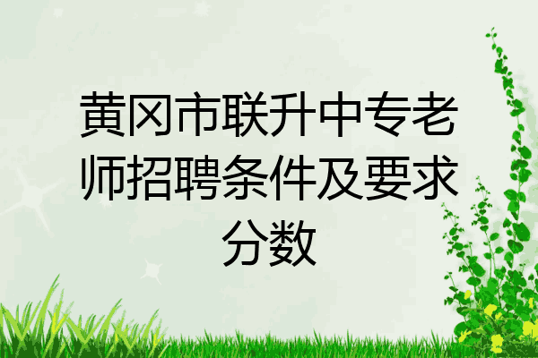 黄冈市联升中专老师招聘条件及要求分数