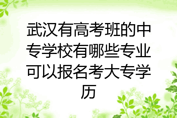 武汉有高考班的中专学校有哪些专业可以报名考大专学历